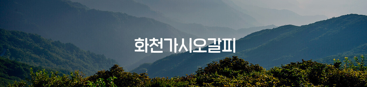 회사 이미지